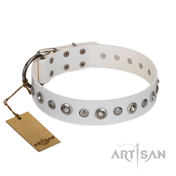 Durable full grain leather dog collar with stylish design embellishments