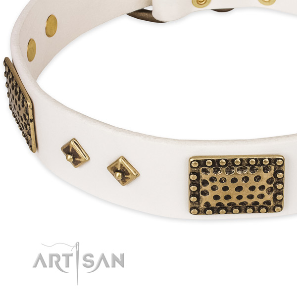 Reliable studs on genuine leather dog collar for your canine