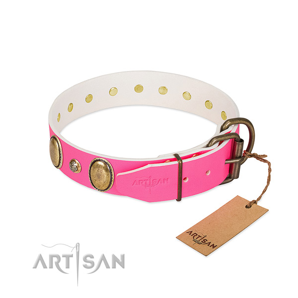Stylish walking top notch full grain leather dog collar