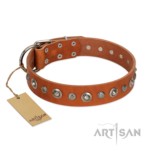 Finest quality genuine leather dog collar with stylish design studs