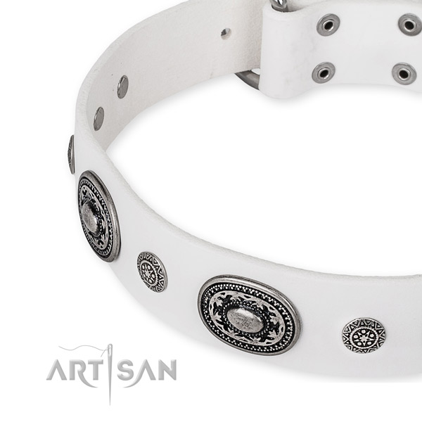 Gentle to touch full grain natural leather dog collar handcrafted for your handsome doggie