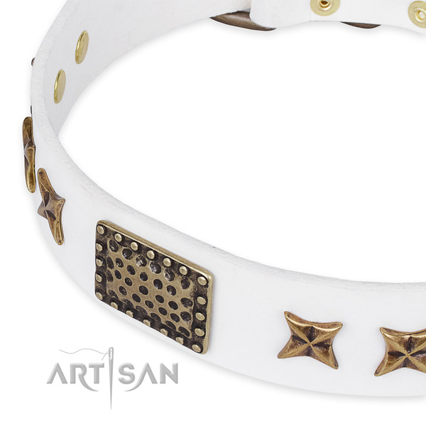 Full grain leather collar with corrosion proof buckle for your lovely dog