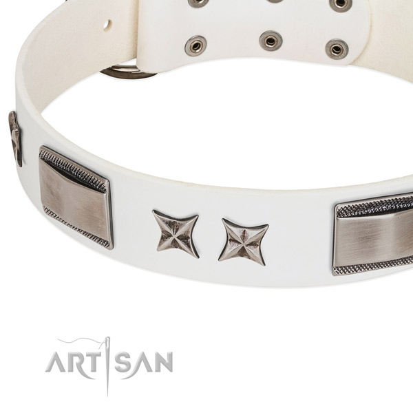 Reliable full grain natural leather dog collar with strong hardware