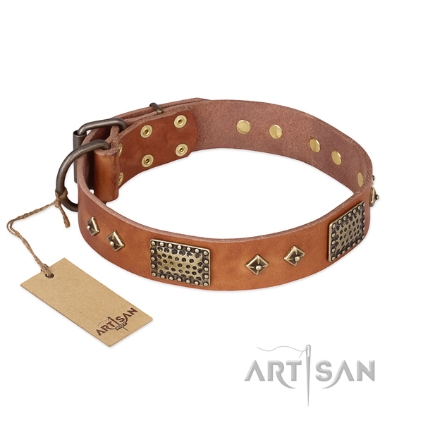 Stunning genuine leather dog collar for comfy wearing