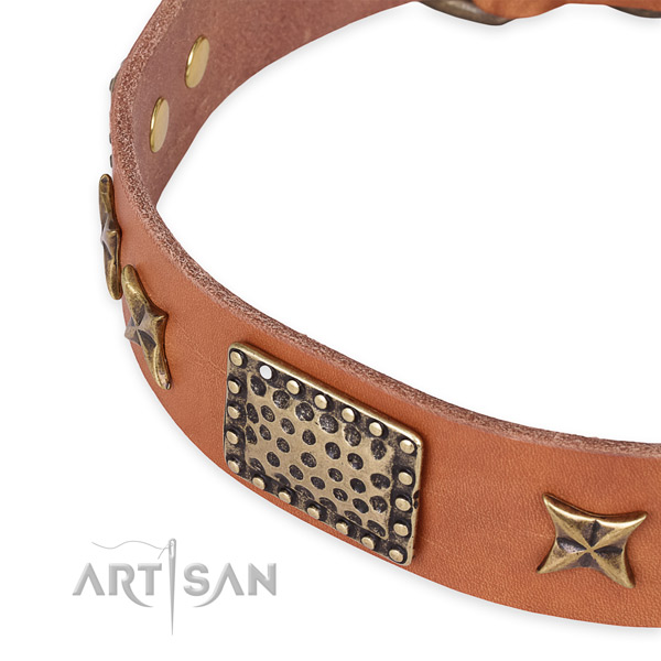 Full grain leather collar with strong buckle for your impressive doggie