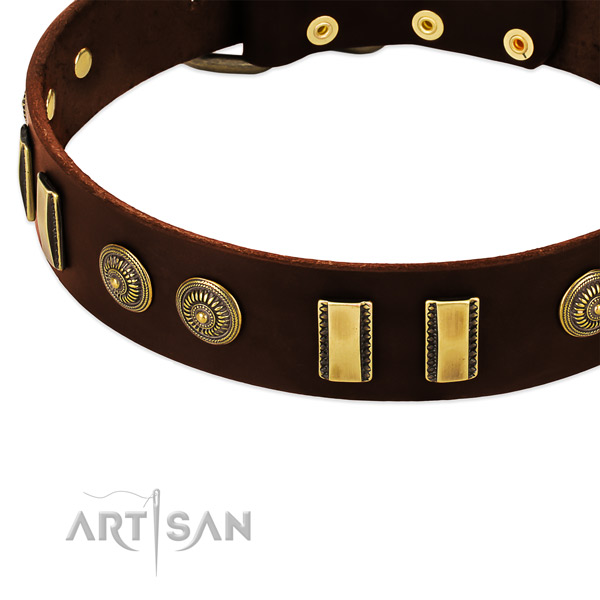 Durable embellishments on full grain natural leather dog collar for your four-legged friend