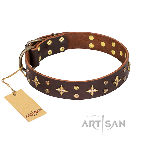 Stylish walking dog collar of fine quality leather with adornments