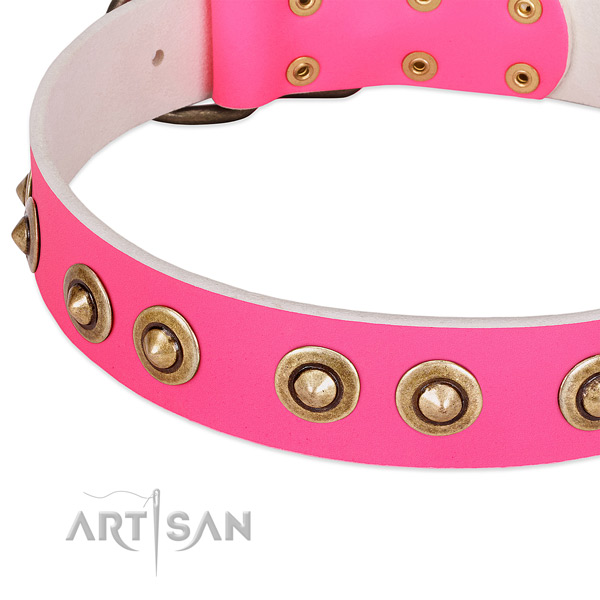 Durable adornments on leather dog collar for your dog