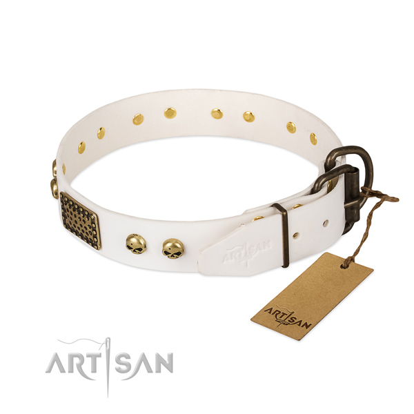 Easy wearing full grain natural leather dog collar for daily walking your doggie