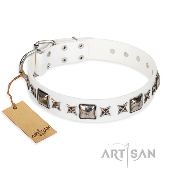 Full grain leather dog collar made of high quality material with corrosion proof hardware