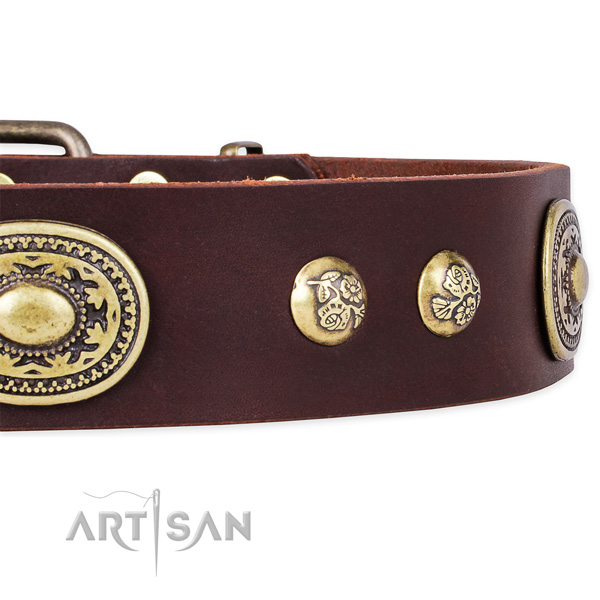 Adjustable full grain genuine leather collar for your stylish canine