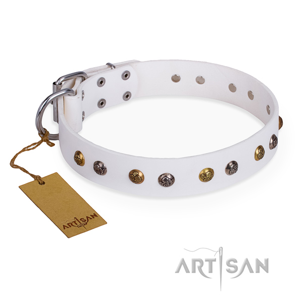 Fancy walking unusual dog collar with strong hardware