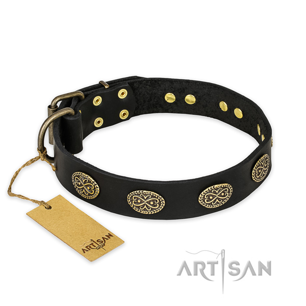 Embellished full grain natural leather dog collar with corrosion resistant fittings