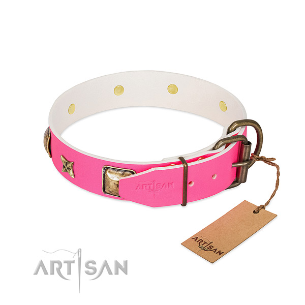Corrosion resistant fittings on full grain natural leather collar for everyday walking your canine