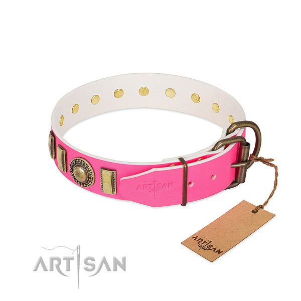 Best quality leather dog collar crafted for your canine