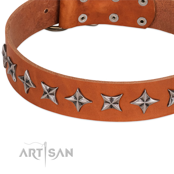 Handy use embellished dog collar of best quality leather