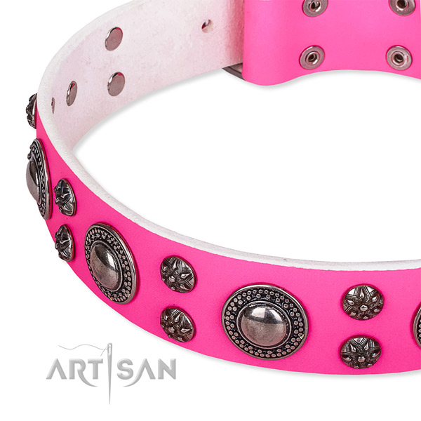 Walking studded dog collar of quality leather