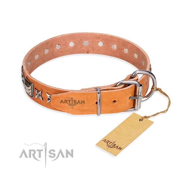 Fine quality adorned dog collar of leather