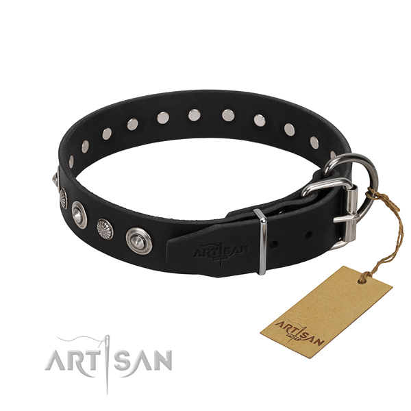 Top notch full grain natural leather dog collar with amazing decorations