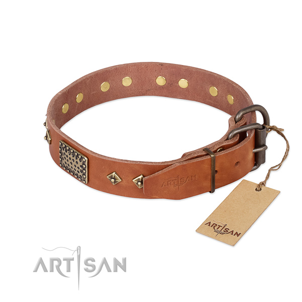 Full grain leather dog collar with durable D-ring and studs