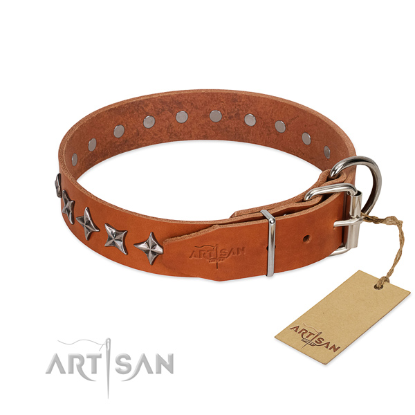 Everyday walking decorated dog collar of reliable genuine leather