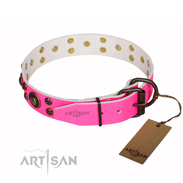 Fancy walking adorned dog collar of top notch full grain natural leather