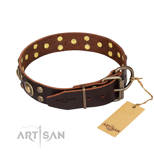 Everyday walking adorned dog collar of strong full grain leather