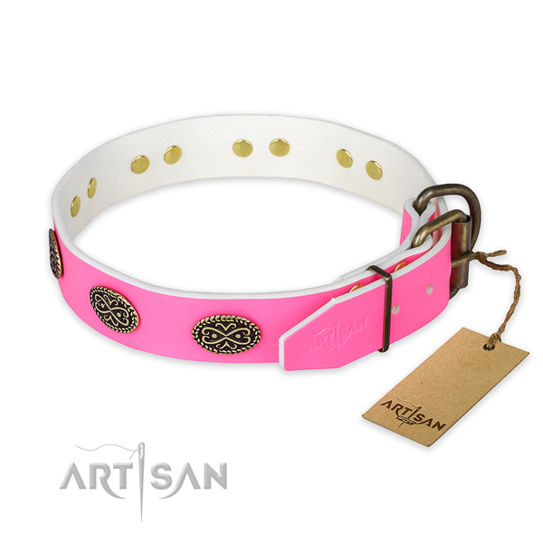 Reliable traditional buckle on handy use dog collar