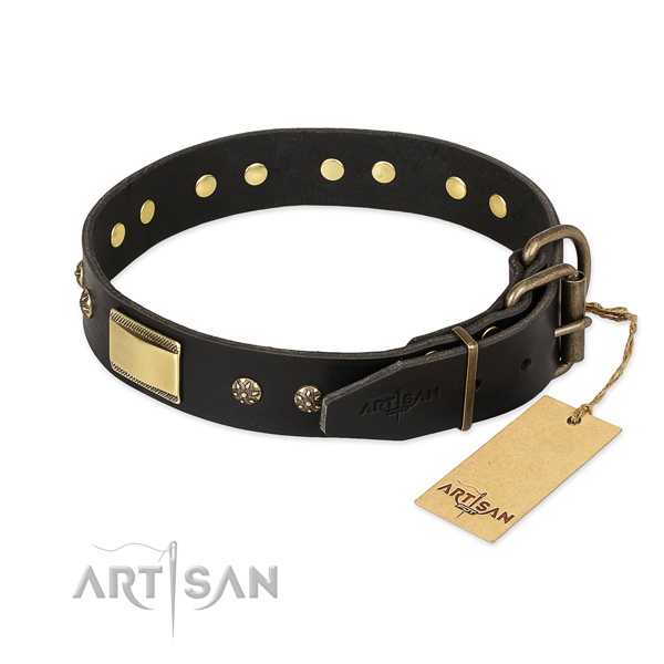 Full grain genuine leather dog collar with corrosion proof fittings and decorations