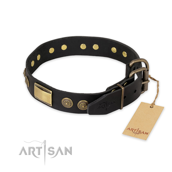 Corrosion resistant traditional buckle on full grain genuine leather collar for stylish walking your four-legged friend
