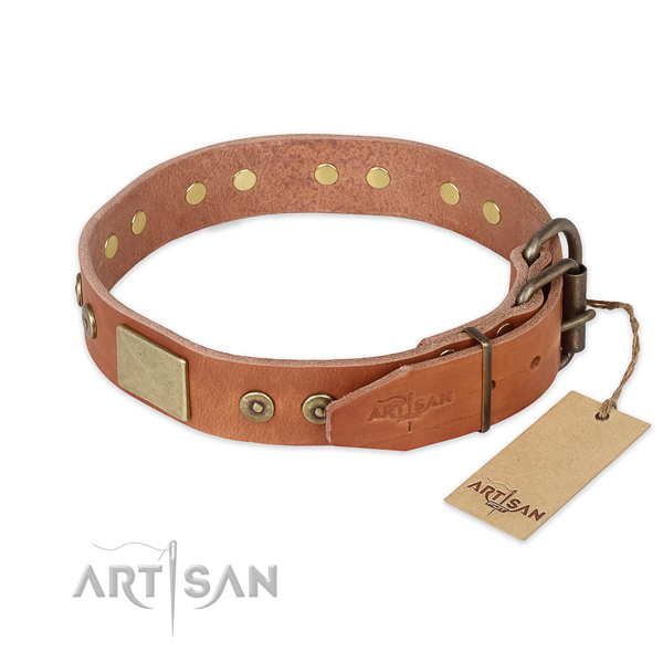 Corrosion proof buckle on full grain natural leather collar for fancy walking your canine