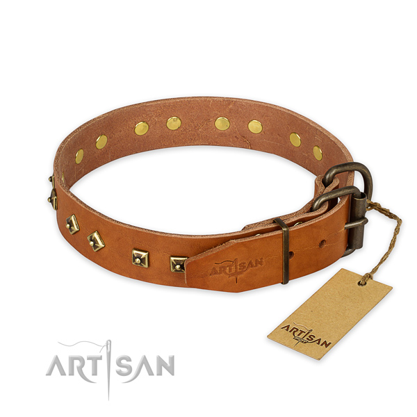 Rust-proof fittings on leather collar for basic training your four-legged friend