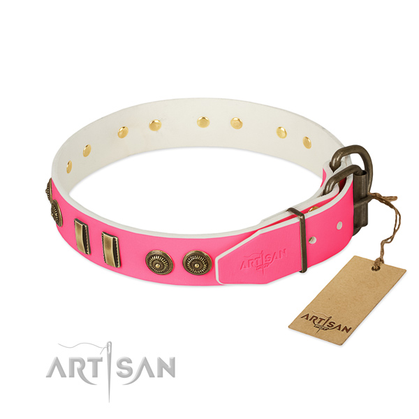 Rust resistant traditional buckle on leather dog collar for your four-legged friend