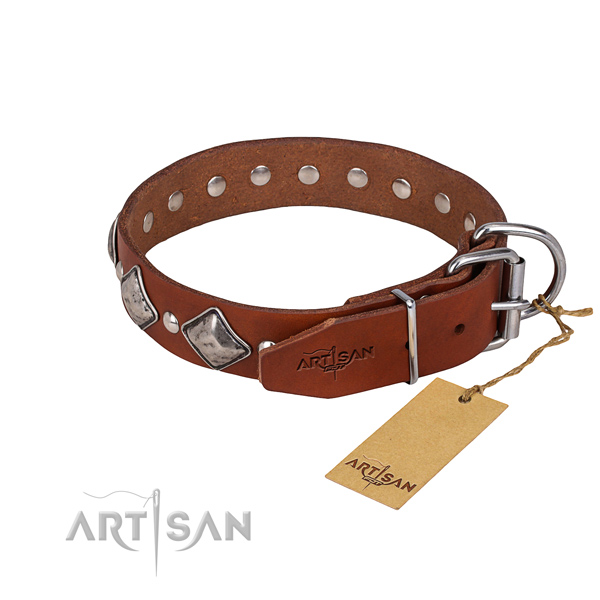 Daily use studded dog collar of quality natural leather