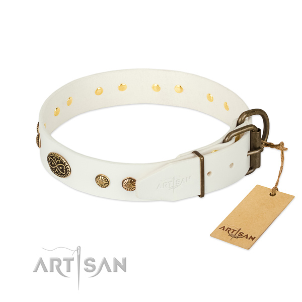 Rust-proof buckle on full grain leather dog collar for your pet