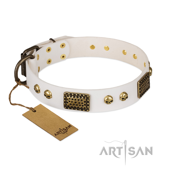 Rust resistant studs on comfy wearing dog collar