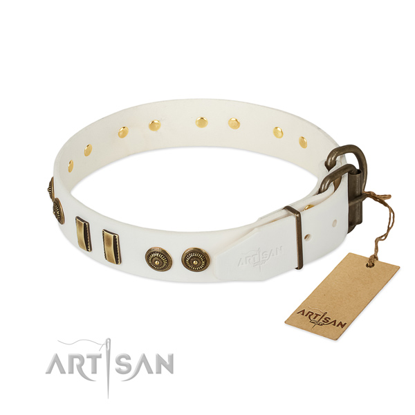 Corrosion proof buckle on leather dog collar for your dog