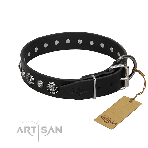 Fine quality leather dog collar with significant adornments