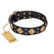 "Fancy-Schmancy" FDT Artisan Studded Leather dog Collar