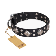 "Smart Geometry" FDT Artisan Studded Leather dog Collar
