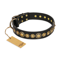 "Gold Mine" FDT Artisan Black Leather dog Collar with Amazing Bronze-Plated Round Studs