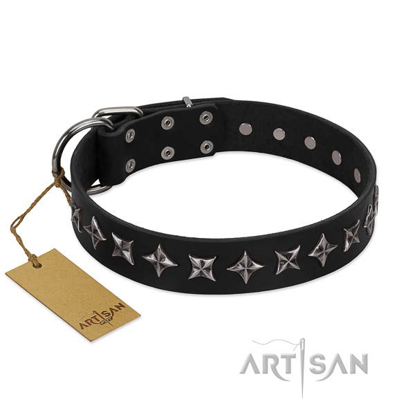Daily use dog collar of fine quality full grain genuine leather with adornments