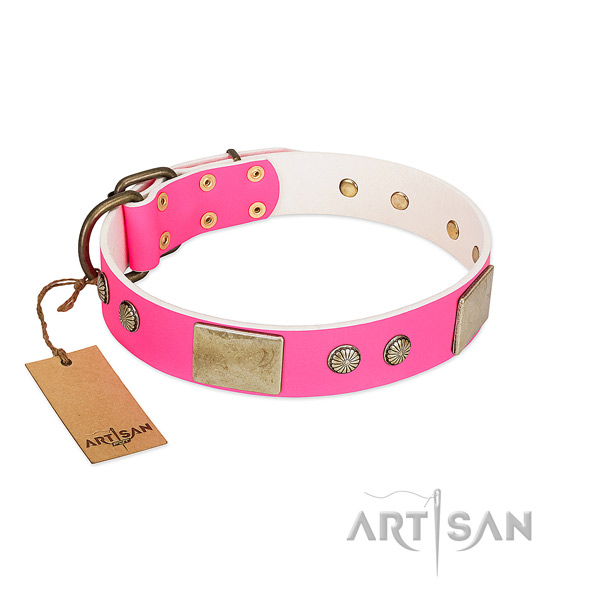 Easy wearing genuine leather dog collar for daily walking your dog