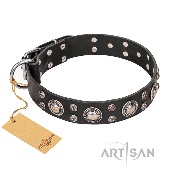 Easy wearing dog collar of quality natural leather with embellishments