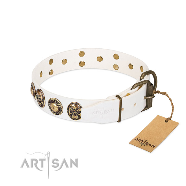Reliable buckle on comfy wearing dog collar