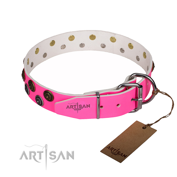 Comfortable wearing studded dog collar of top quality natural leather