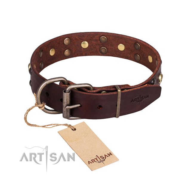 Everyday use studded dog collar of finest quality genuine leather