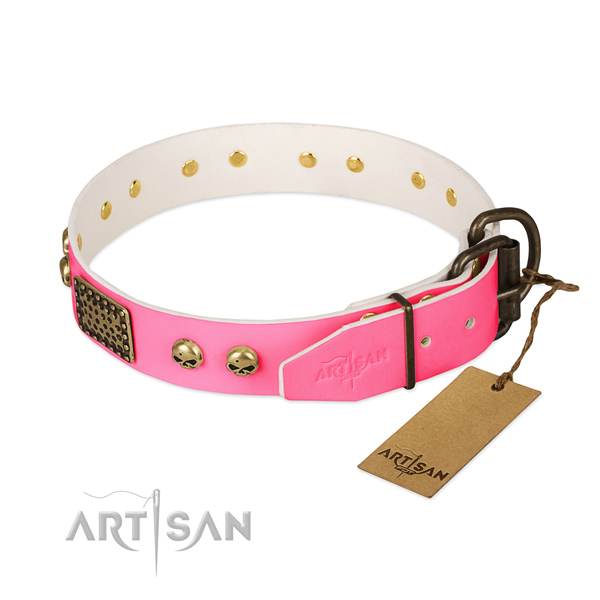 Corrosion resistant D-ring on daily walking dog collar