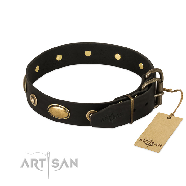 Rust resistant decorations on full grain natural leather dog collar for your canine