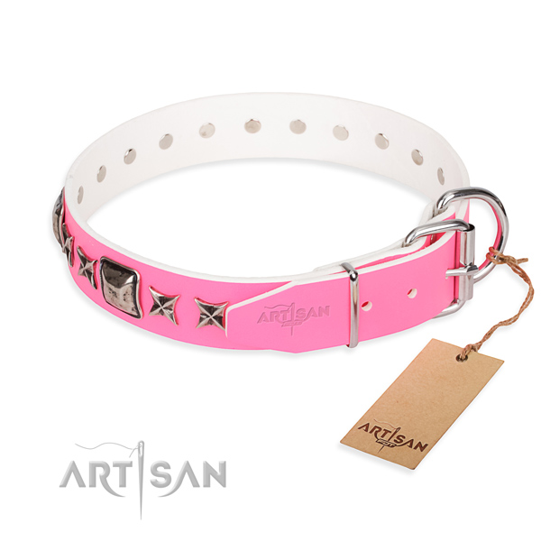 Quality decorated dog collar of full grain leather